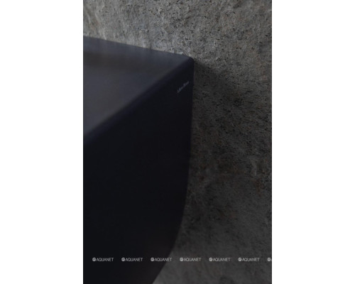 Биде подвесное Allen Brau Fantasy 4.11006.31 черный матовый