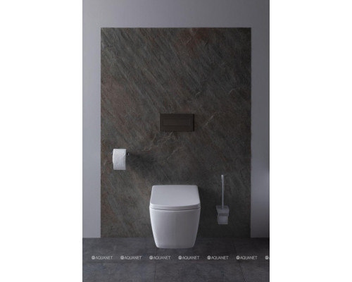 Крышка-сиденье для унитаза Allen Brau Liberty 4.33006.20 белый глянец