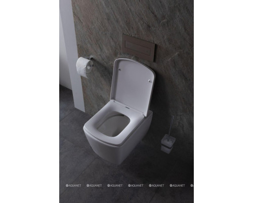 Крышка-сиденье для унитаза Allen Brau Liberty 4.33006.20 белый глянец