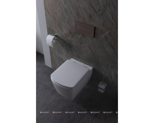 Крышка-сиденье для унитаза Allen Brau Liberty 4.33006.20 белый глянец