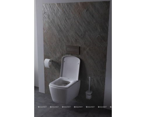 Крышка-сиденье для унитаза Allen Brau Liberty 4.33006.20 белый глянец