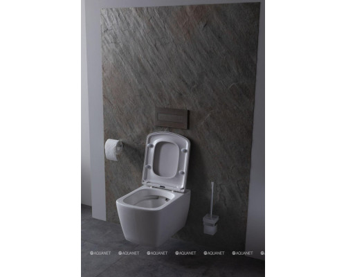 Крышка-сиденье для унитаза Allen Brau Liberty 4.33006.20 белый глянец