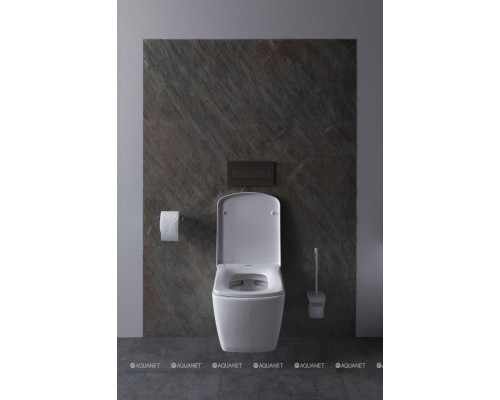 Крышка-сиденье для унитаза Allen Brau Liberty 4.33006.20 белый глянец