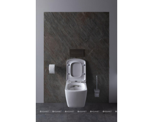 Крышка-сиденье для унитаза Allen Brau Liberty 4.33006.20 белый глянец