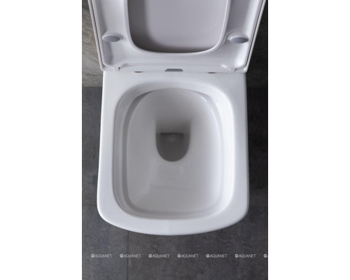 Крышка-сиденье для унитаза Allen Brau Liberty 4.33006.20 белый глянец