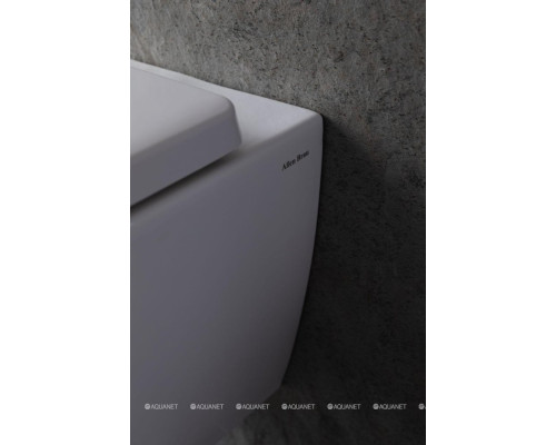 Крышка-сиденье для унитаза Allen Brau Liberty 4.33006.20 белый глянец