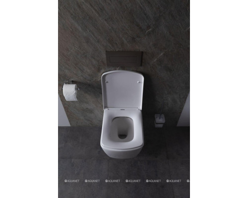 Крышка-сиденье для унитаза Allen Brau Liberty 4.33006.20 белый глянец