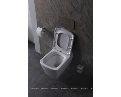 Крышка-сиденье для унитаза Allen Brau Liberty 4.33006.20 белый глянец