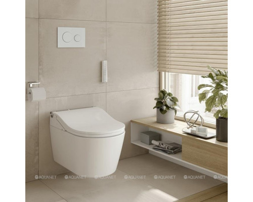 Унитаз подвесной Toto RX CW542EY