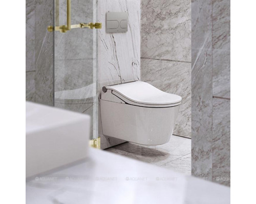 Унитаз подвесной Toto RX CW542EY