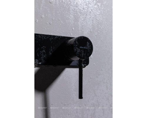 Смеситель для раковины Allen Brau Glority 5.51004-31 (с внутренней частью) черный матовый