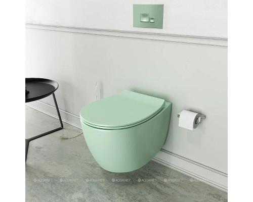 Сиденье для унитаза Allen Brau Fantasy Smartfix, Soft-Close 4.11005.MT мятный