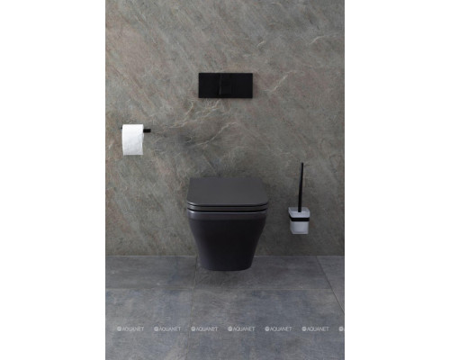 Унитаз подвесной Allen Brau Infinity 4.21011.AN антрацит