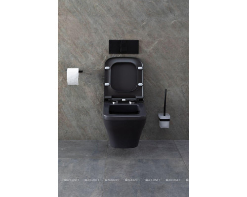 Унитаз подвесной Allen Brau Infinity 4.21011.AN антрацит