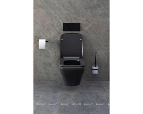 Унитаз подвесной Allen Brau Infinity 4.21011.AN антрацит
