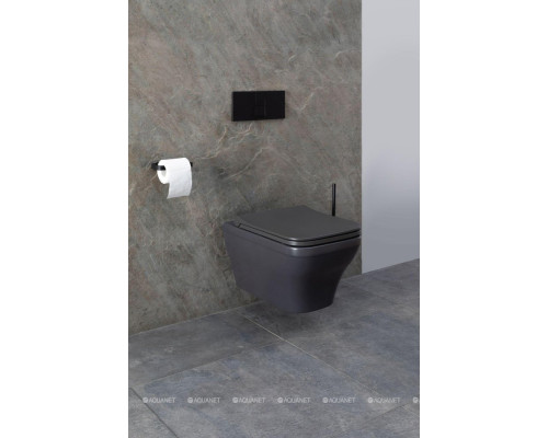 Унитаз подвесной Allen Brau Infinity 4.21011.AN антрацит