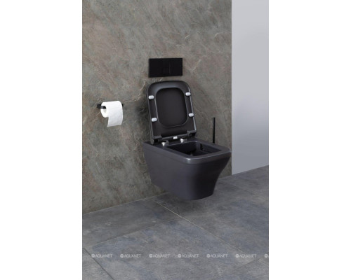 Унитаз подвесной Allen Brau Infinity 4.21011.AN антрацит