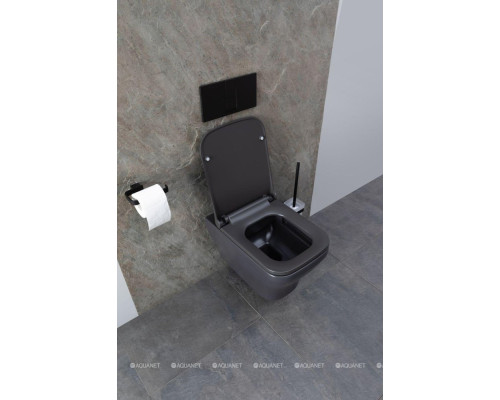 Унитаз подвесной Allen Brau Infinity 4.21011.AN антрацит