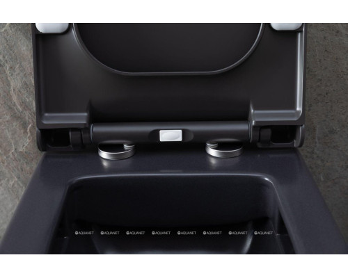 Унитаз подвесной Allen Brau Infinity 4.21011.AN антрацит