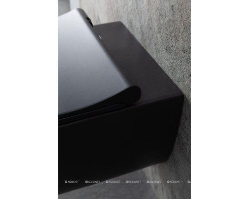 Унитаз подвесной Allen Brau Priority 4.31001.31 черный матовый