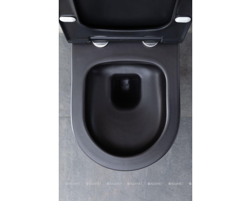 Унитаз подвесной Allen Brau Priority 4.31001.31 черный матовый