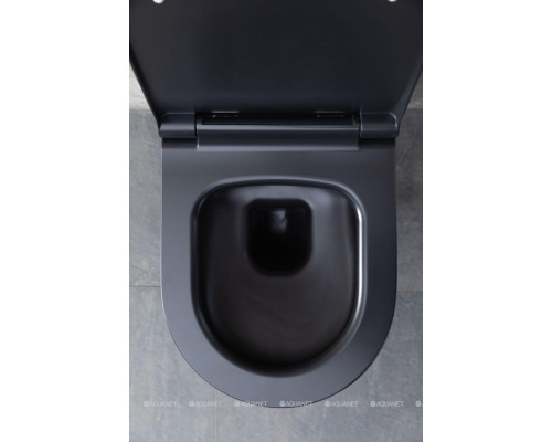 Унитаз подвесной Allen Brau Priority 4.31001.31 черный матовый