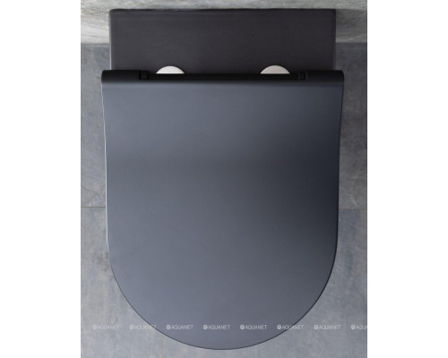 Унитаз подвесной Allen Brau Priority 4.31001.31 черный матовый