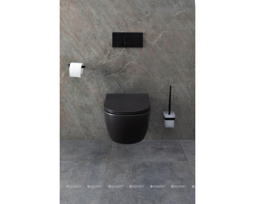 Унитаз подвесной Allen Brau Priority 4.31001.31 черный матовый