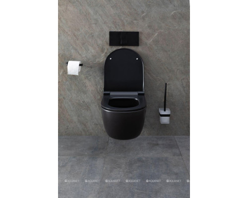 Унитаз подвесной Allen Brau Priority 4.31001.31 черный матовый