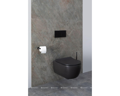 Унитаз подвесной Allen Brau Priority 4.31001.31 черный матовый