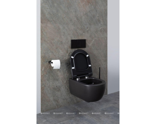 Унитаз подвесной Allen Brau Priority 4.31001.31 черный матовый