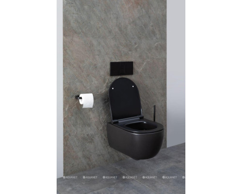 Унитаз подвесной Allen Brau Priority 4.31001.31 черный матовый