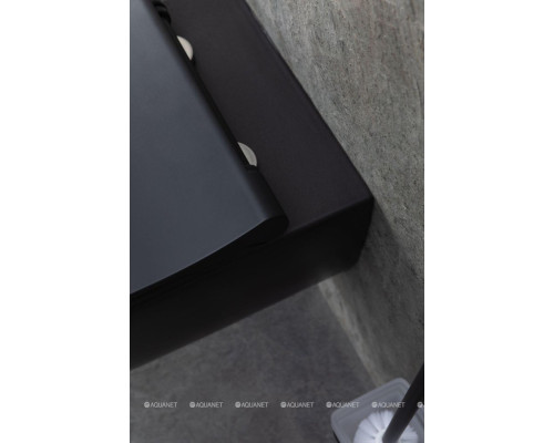 Унитаз подвесной Allen Brau Priority 4.31001.31 черный матовый