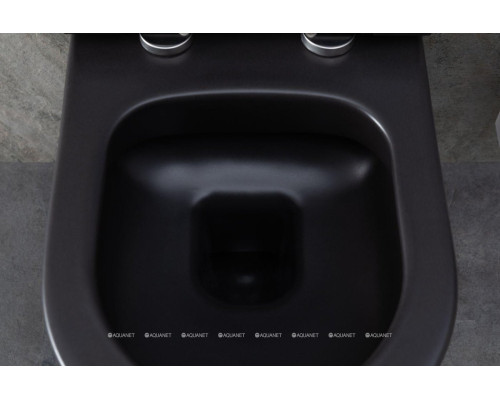 Унитаз подвесной Allen Brau Priority 4.31001.31 черный матовый