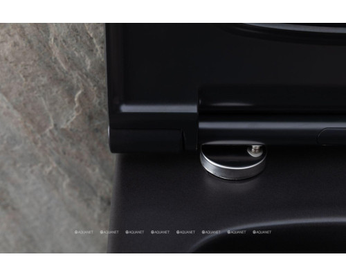 Унитаз подвесной Allen Brau Priority 4.31001.31 черный матовый