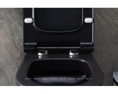 Унитаз подвесной Allen Brau Priority 4.31001.31 черный матовый