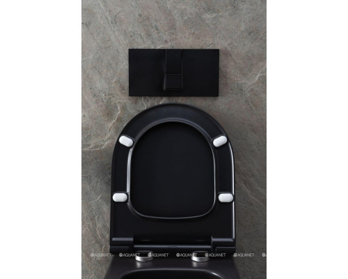 Унитаз подвесной Allen Brau Priority 4.31001.31 черный матовый