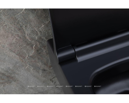 Унитаз подвесной Allen Brau Priority 4.31001.31 черный матовый