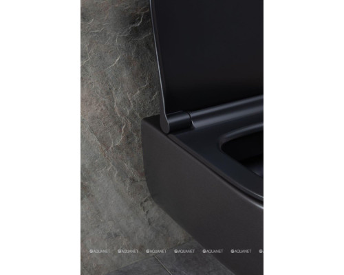 Унитаз подвесной Allen Brau Priority 4.31001.31 черный матовый