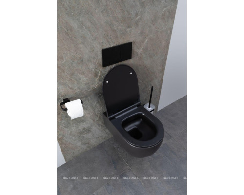 Унитаз подвесной Allen Brau Priority 4.31001.31 черный матовый