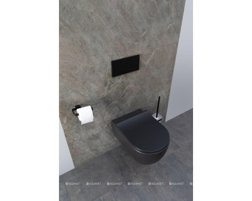 Унитаз подвесной Allen Brau Priority 4.31001.31 черный матовый