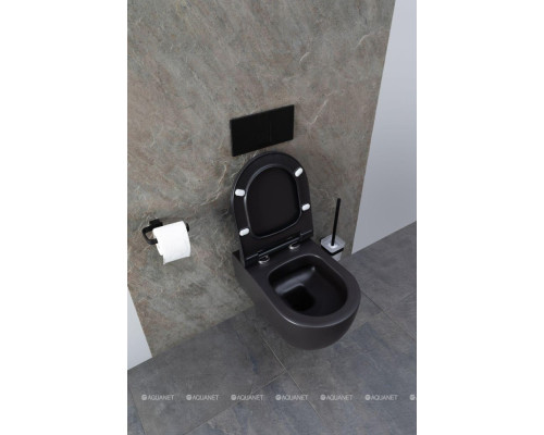 Унитаз подвесной Allen Brau Priority 4.31001.31 черный матовый