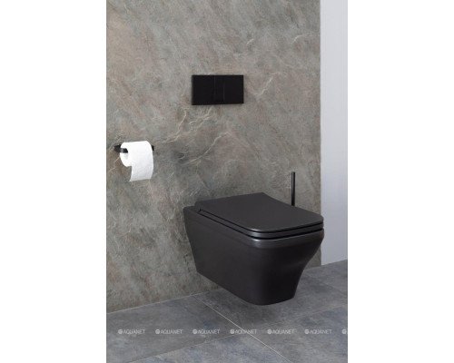 Унитаз подвесной Allen Brau Infinity 4.21011.31 черный матовый