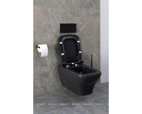 Унитаз подвесной Allen Brau Infinity 4.21011.31 черный матовый