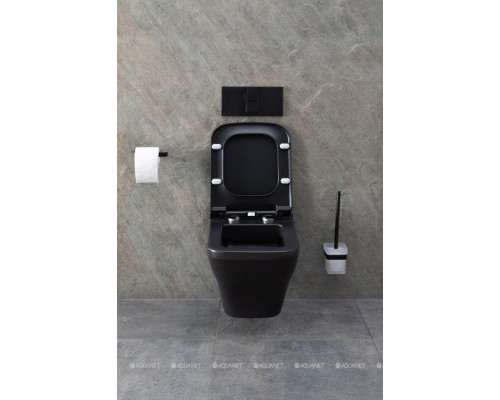 Унитаз подвесной Allen Brau Infinity 4.21011.31 черный матовый