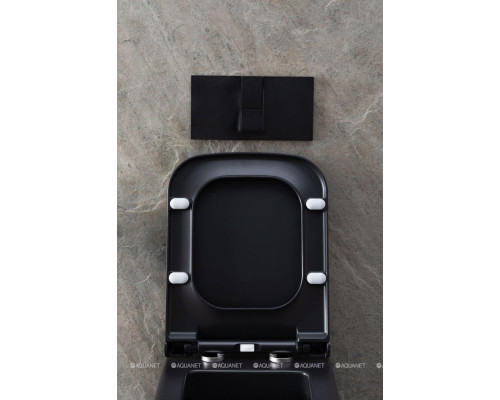 Унитаз подвесной Allen Brau Infinity 4.21011.31 черный матовый