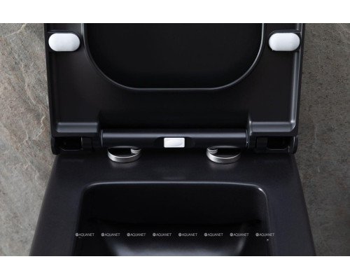 Унитаз подвесной Allen Brau Infinity 4.21011.31 черный матовый