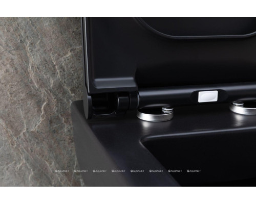 Унитаз подвесной Allen Brau Infinity 4.21011.31 черный матовый