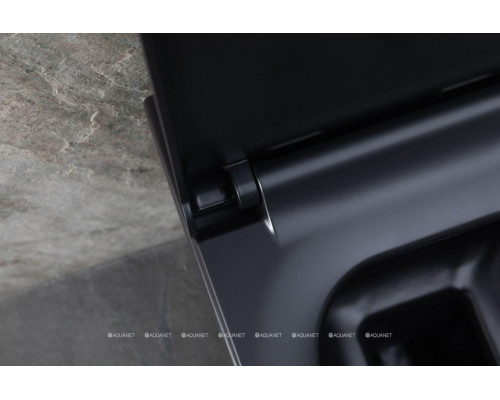 Унитаз подвесной Allen Brau Infinity 4.21011.31 черный матовый