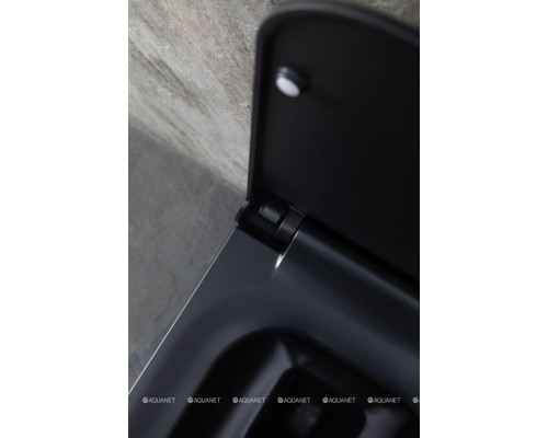 Унитаз подвесной Allen Brau Infinity 4.21011.31 черный матовый